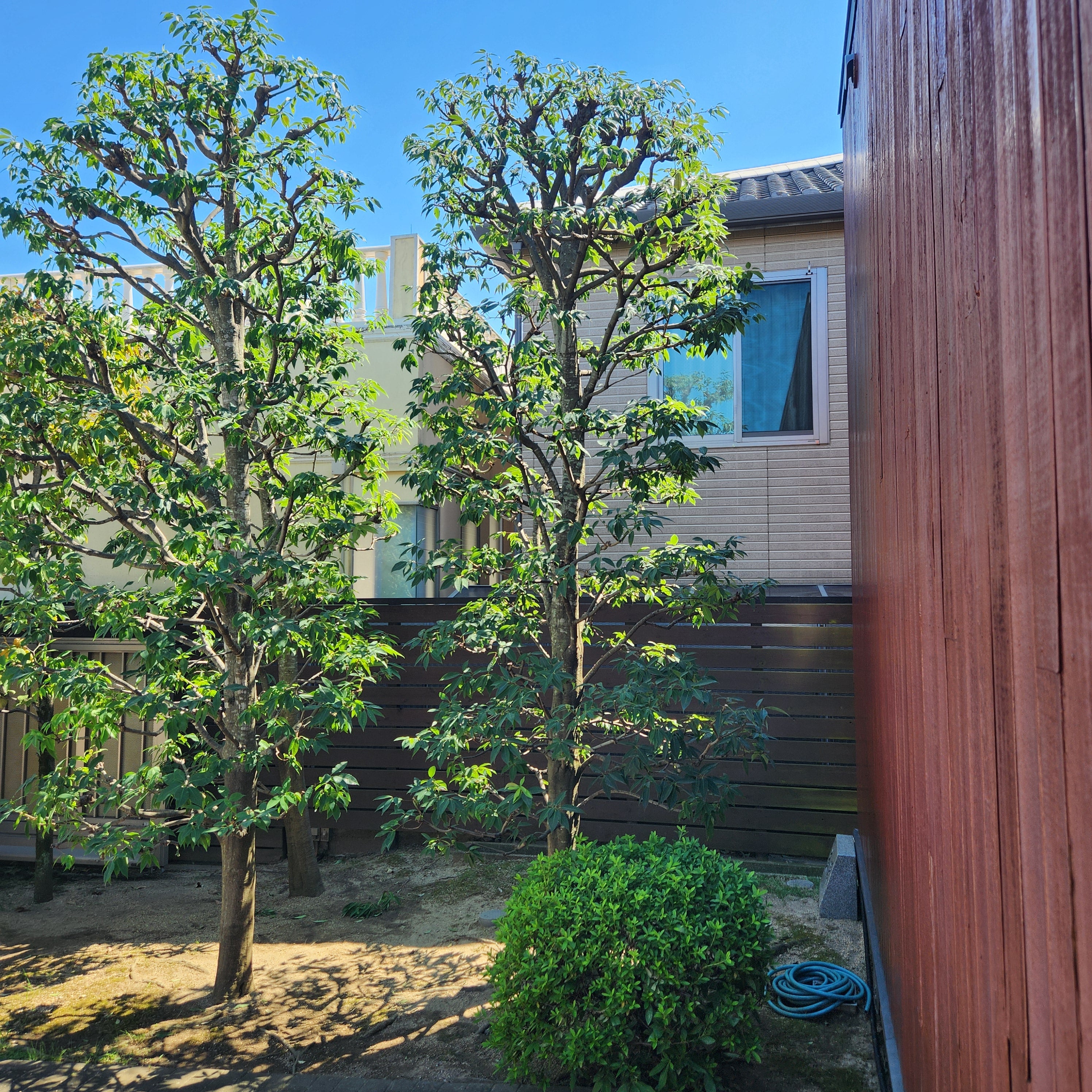 藤 造園の紹介写真_2枚目