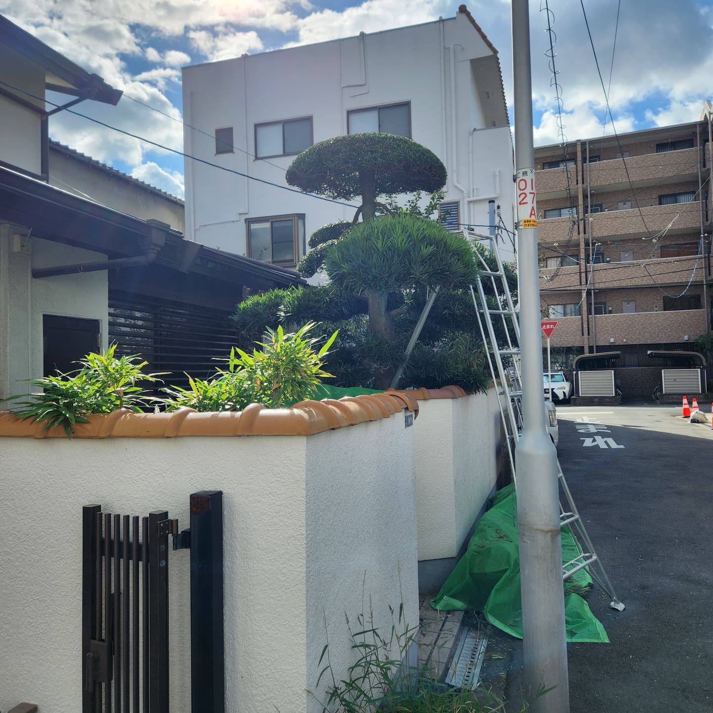 藤 造園の紹介写真_1枚目